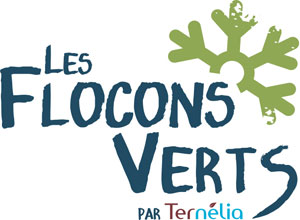 logo flocons